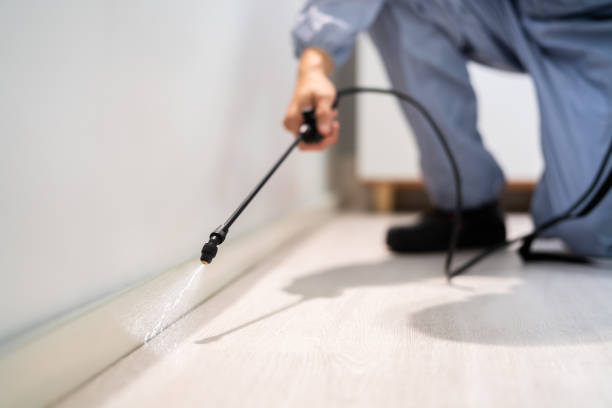 Professional exterminator conducting IPM assessment in Cordes Lakes